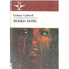 Blisko domu